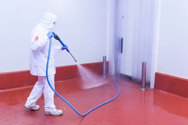 Best Building Exterior Washing  in Gold Canyon, AZ